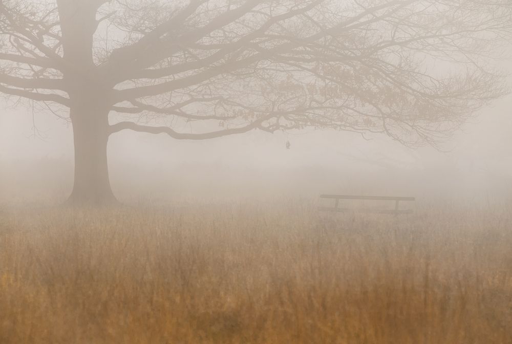 Фотография автора Оксана Мерзликина