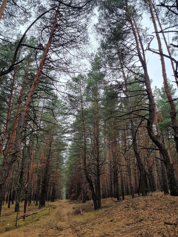 Photograph by Александра