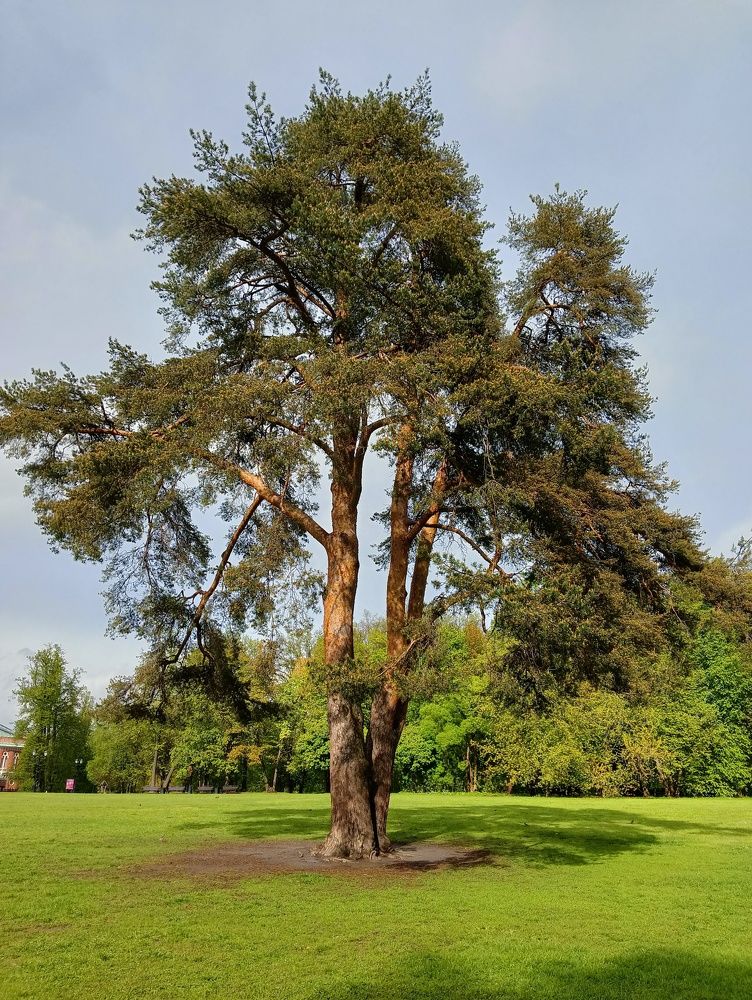 Photograph by Elena Mozhaeva