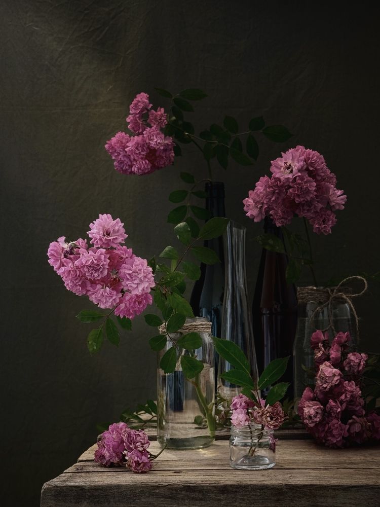 Photograph by Татьяна Семёнова