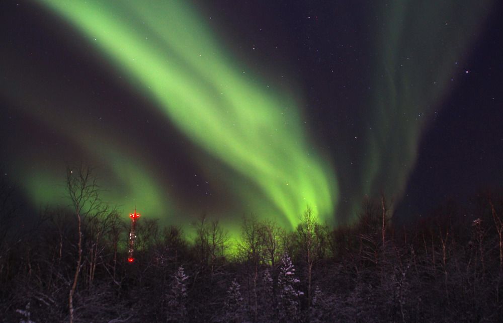 Фотография автора Светлана Терехова