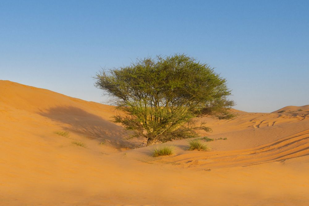 Фотография автора Алена