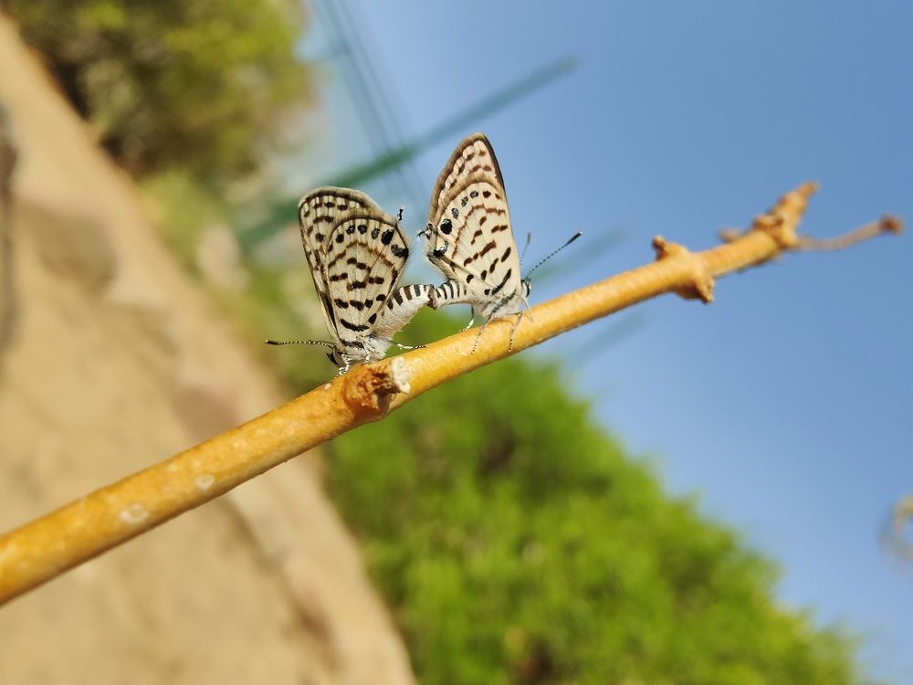 Фотография автора zakaria ahmad