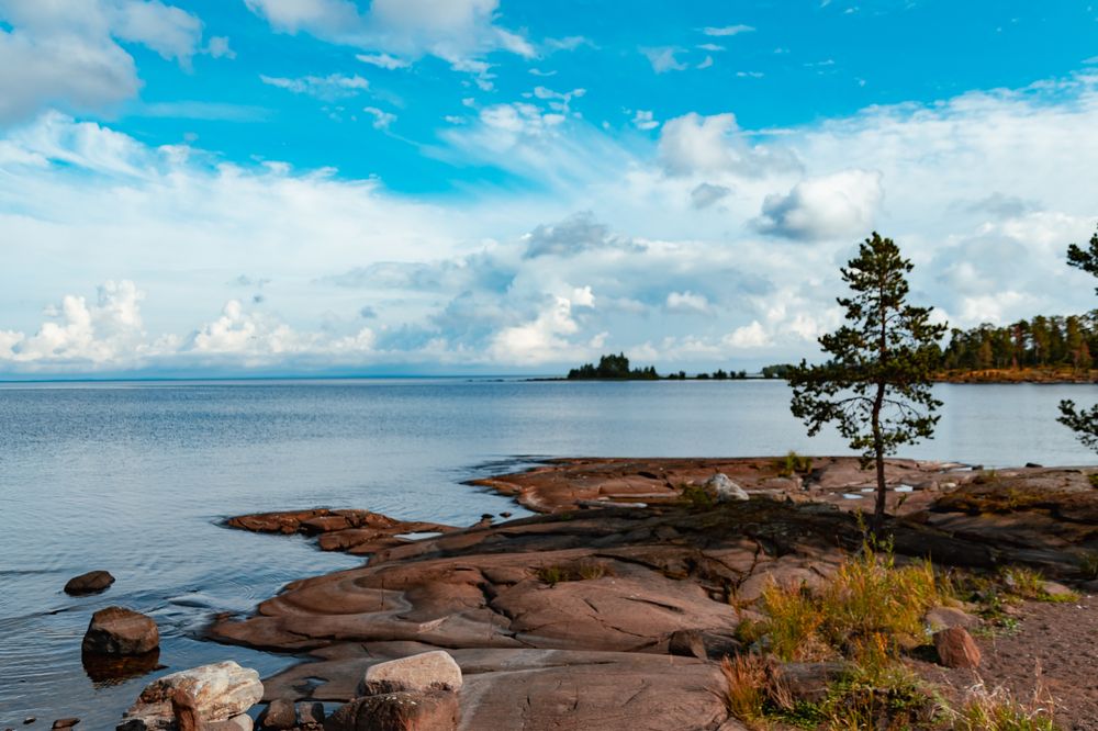 Photograph by Елена Ефимова