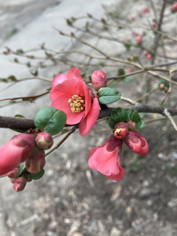 Фотография автора Ксения