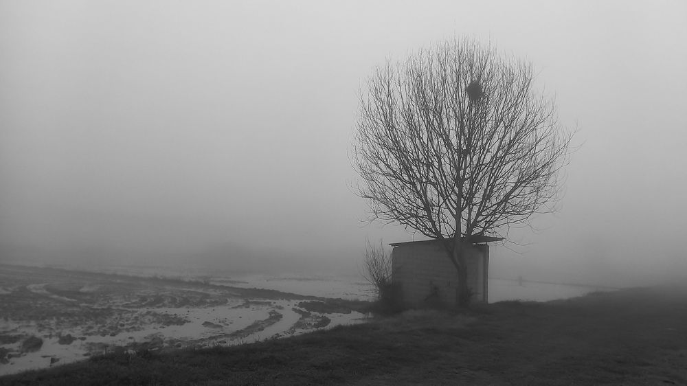 Photograph by mahdi ghanbari