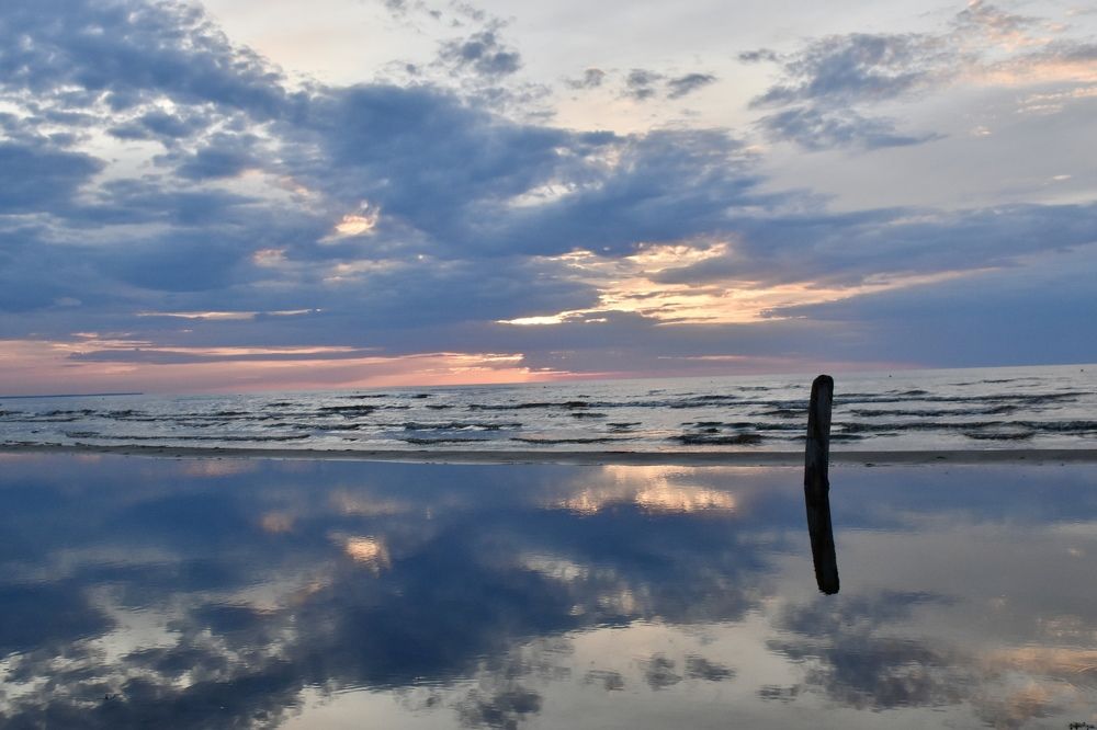 Photograph by Ilona Virse