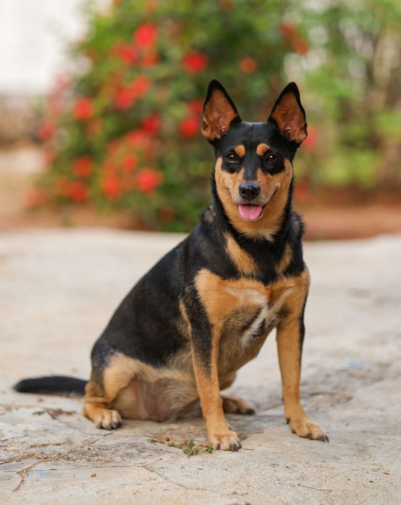 Photograph by Yanisel Clemente