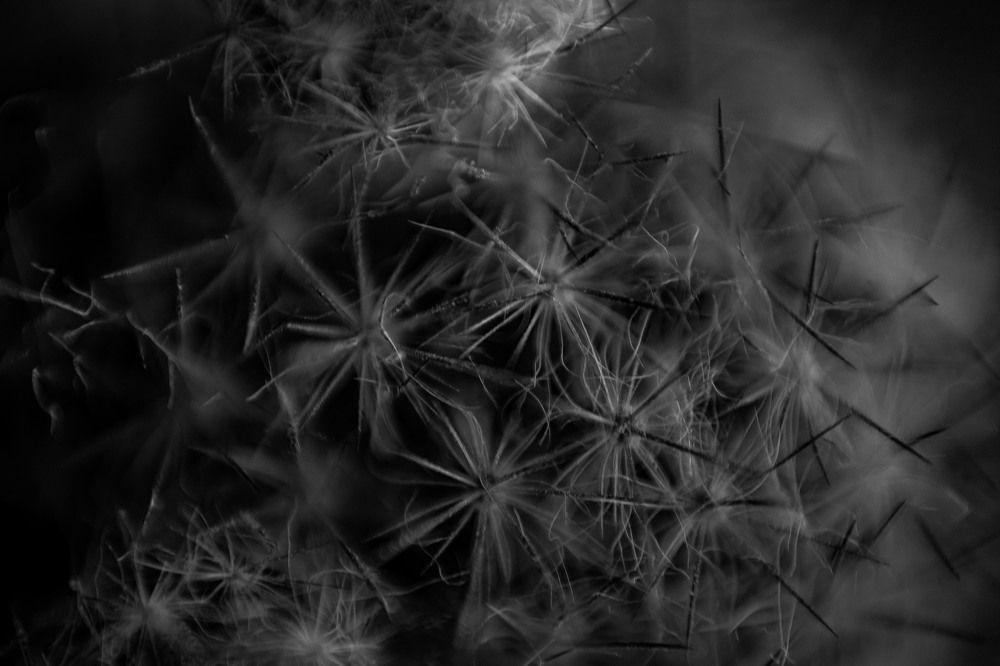 Photograph by Yanisel Clemente