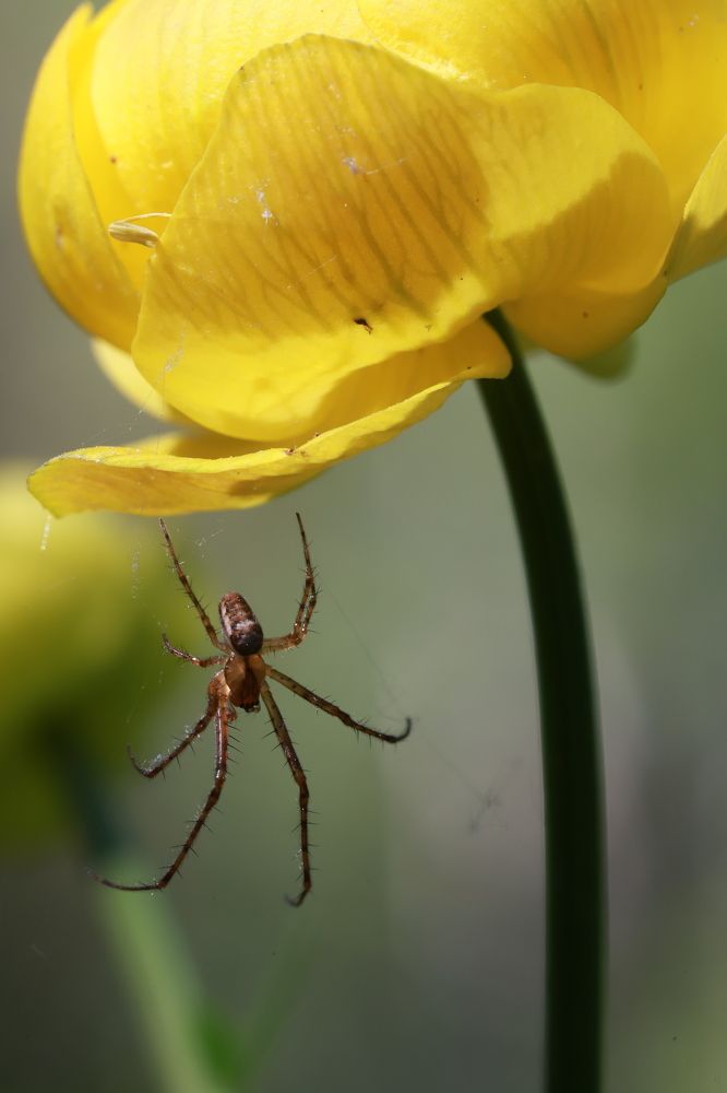 Photograph by Елена Тимченко