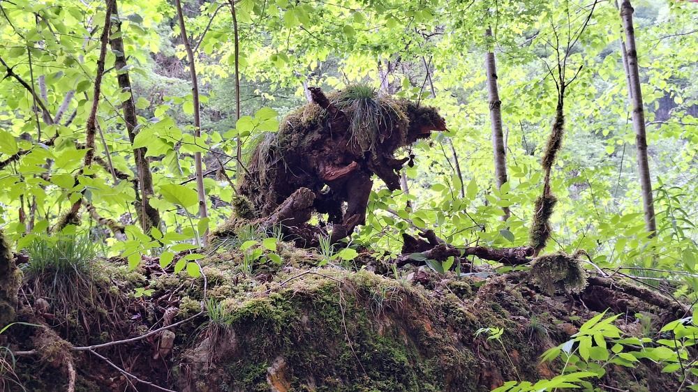 Почти мамонтенок