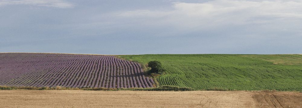 Photograph by Taтьяна Войлокова