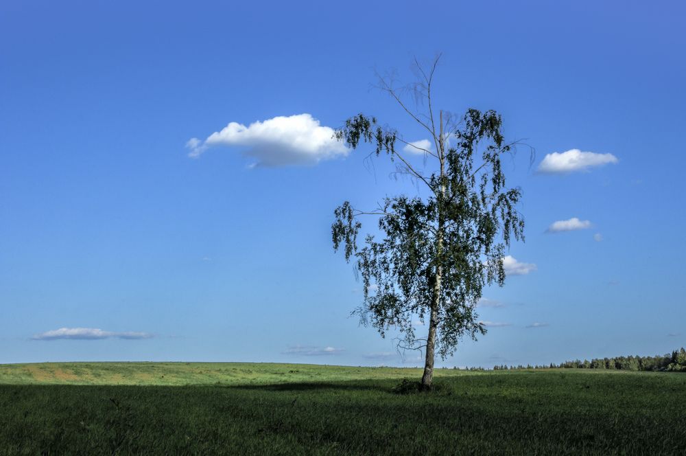 Photograph by Alexandra Chalova