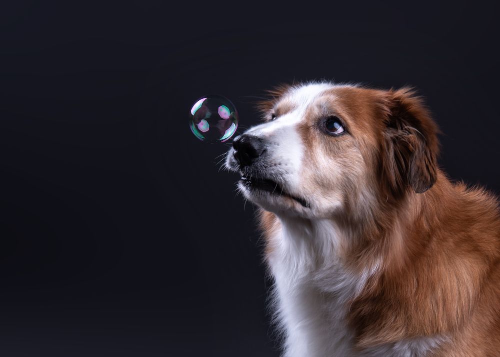 Photograph by наталья залогина