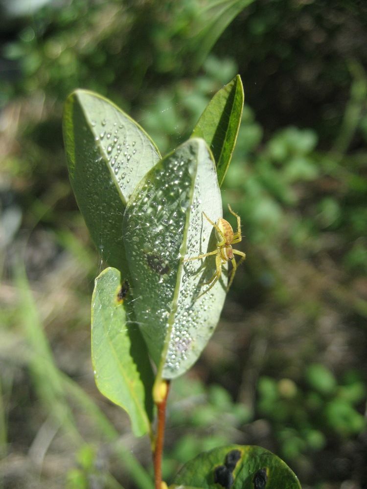 Photograph by Натали ДанКо