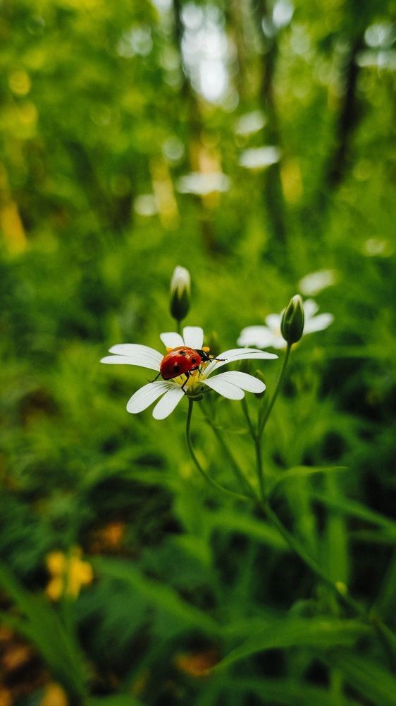 Photograph by Игорь Кабанов