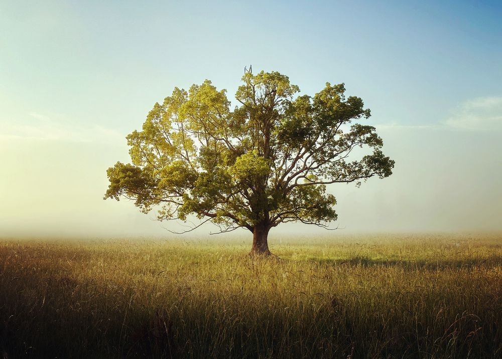 Photograph by Pixilated Planet