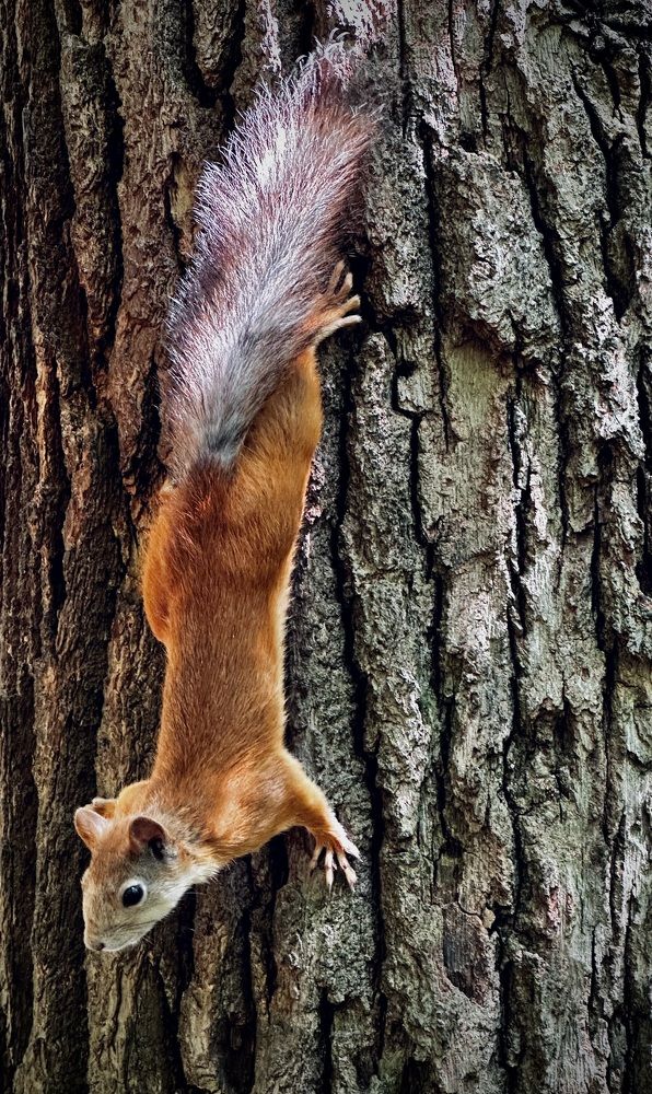 Photograph by Рина Серёгина