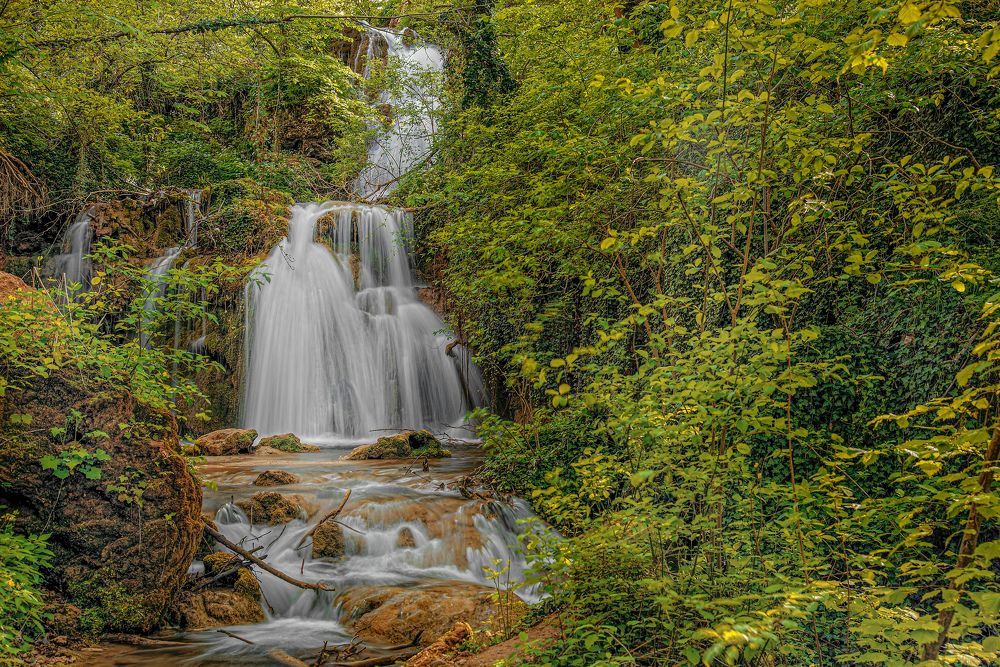 Photograph by Dragan Cerovic