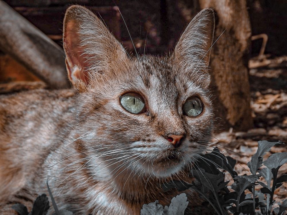 Photograph by Massiel Viguera