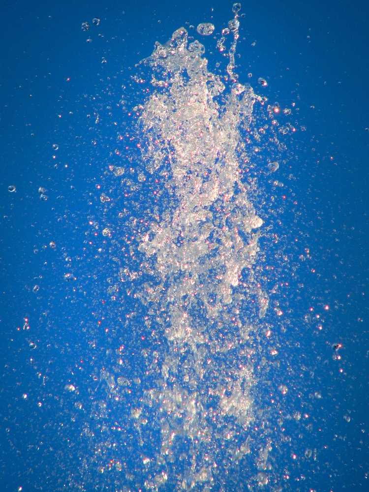 Фотография автора Hamid Reza Abadeh