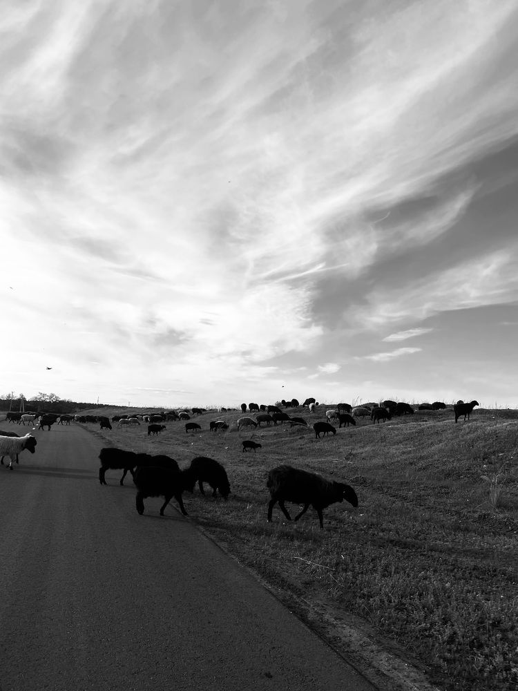 Photograph by Елена Сычикова