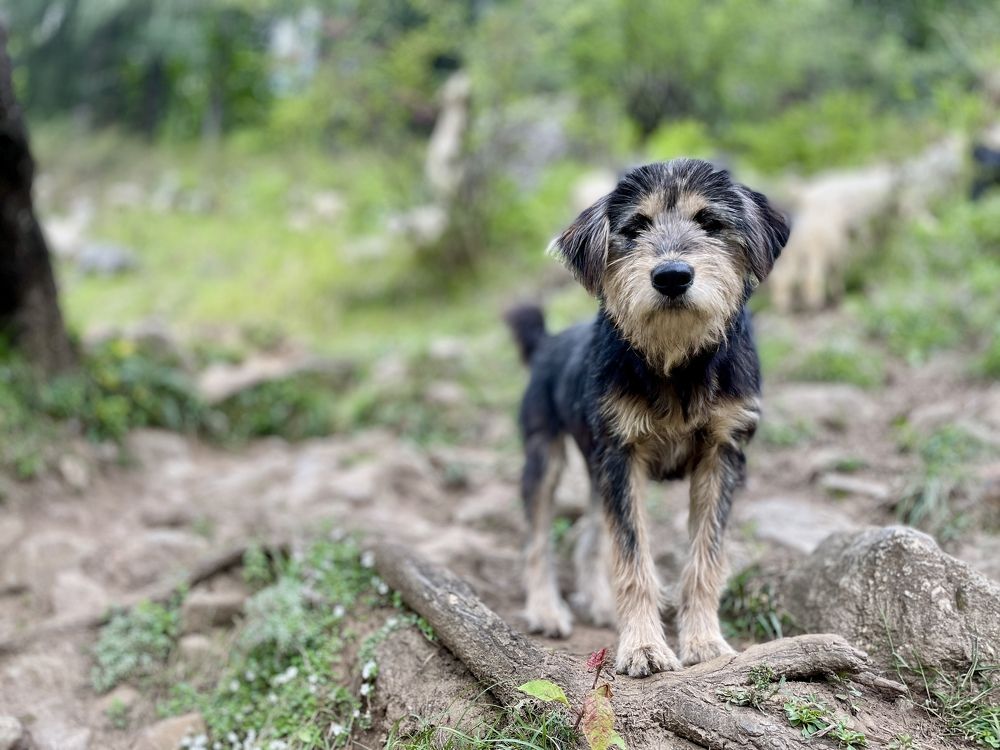 Photograph by Mudit Jain