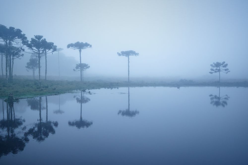 Photograph by Valdir Hobus