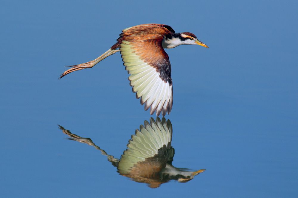 Photograph by Valdir Hobus