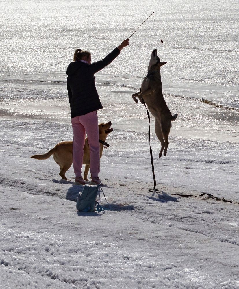 Photograph by Любовь Бусова