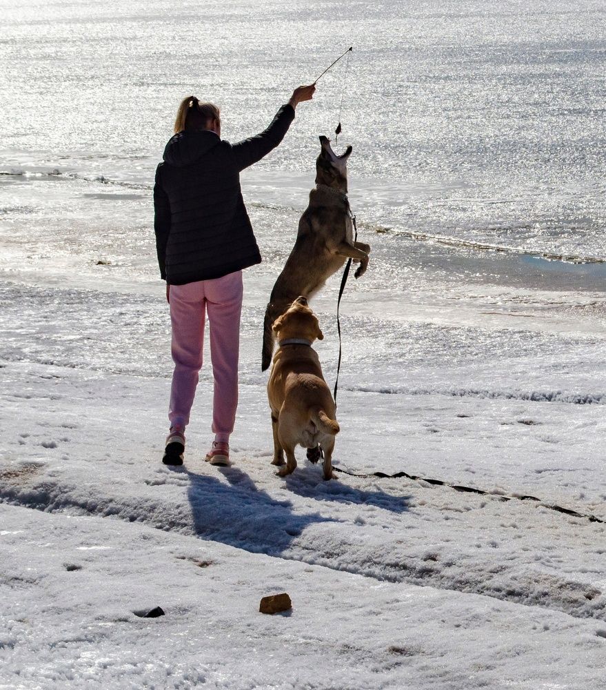 Photograph by Любовь Бусова