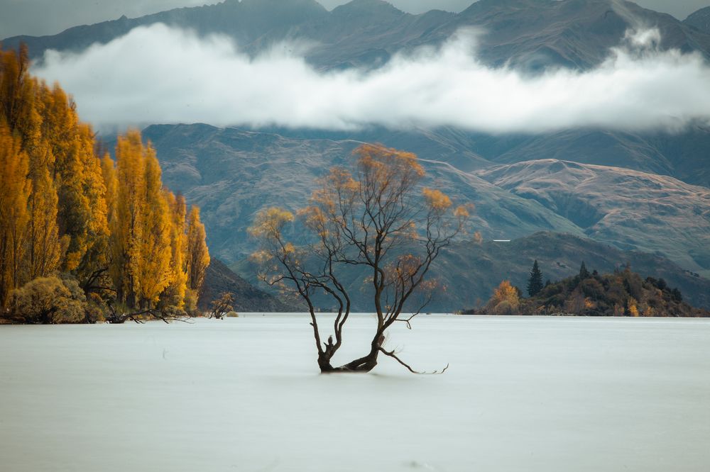 Photograph by Jun Yit Lai