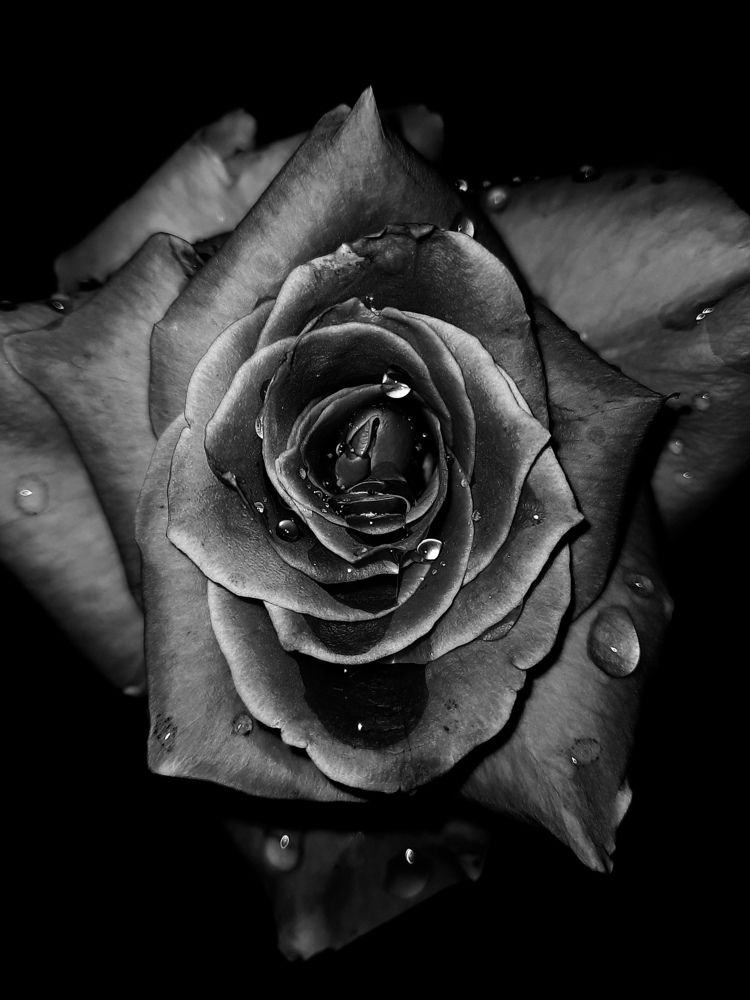 Photograph by Fajar Ilham