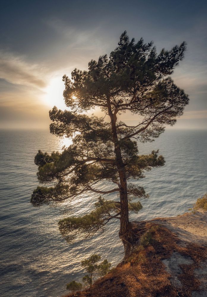 Фотография автора Константин Яковлев