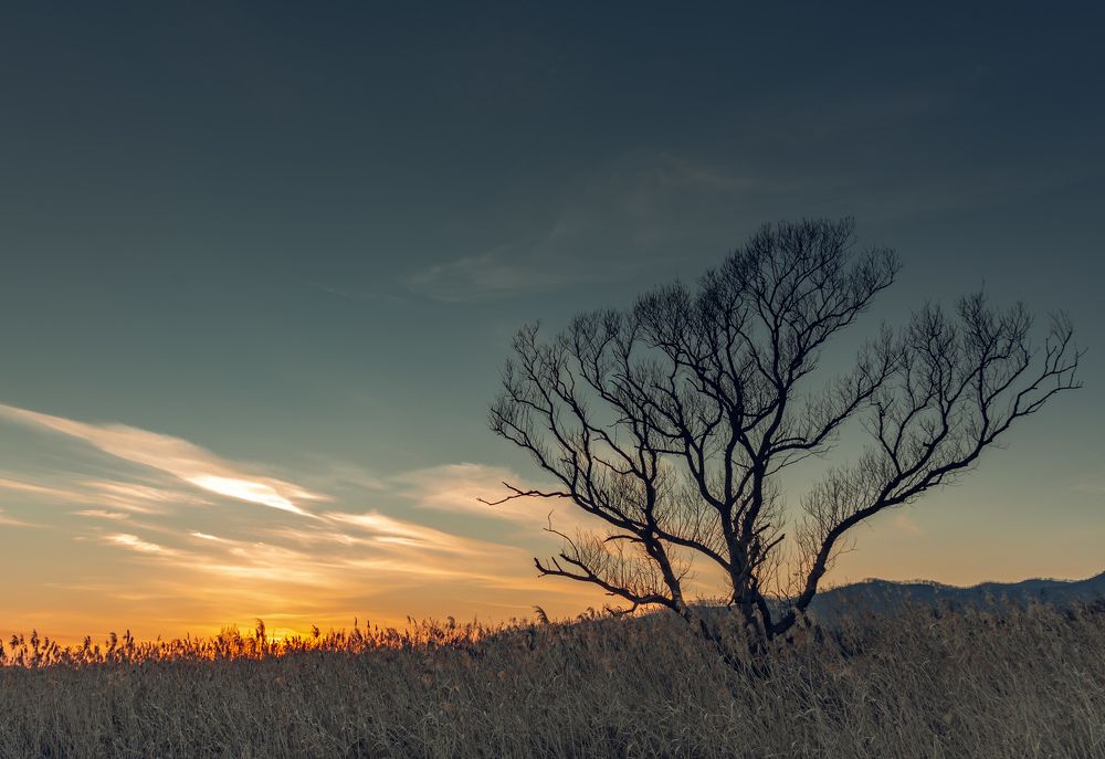 Фотография автора Константин Яковлев
