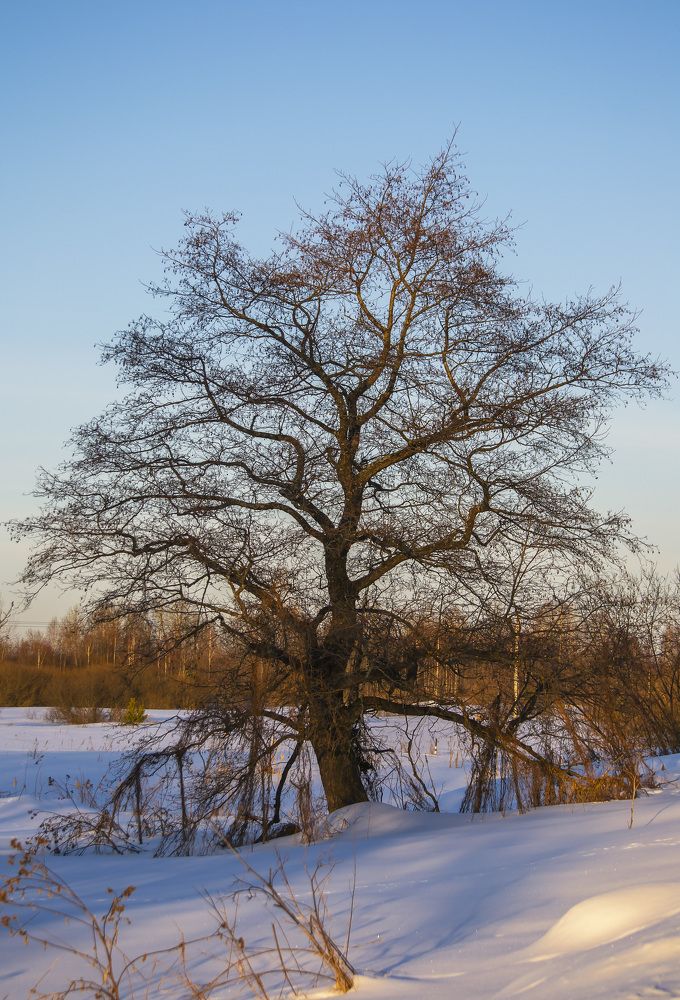 Photograph by Цветков Сергей