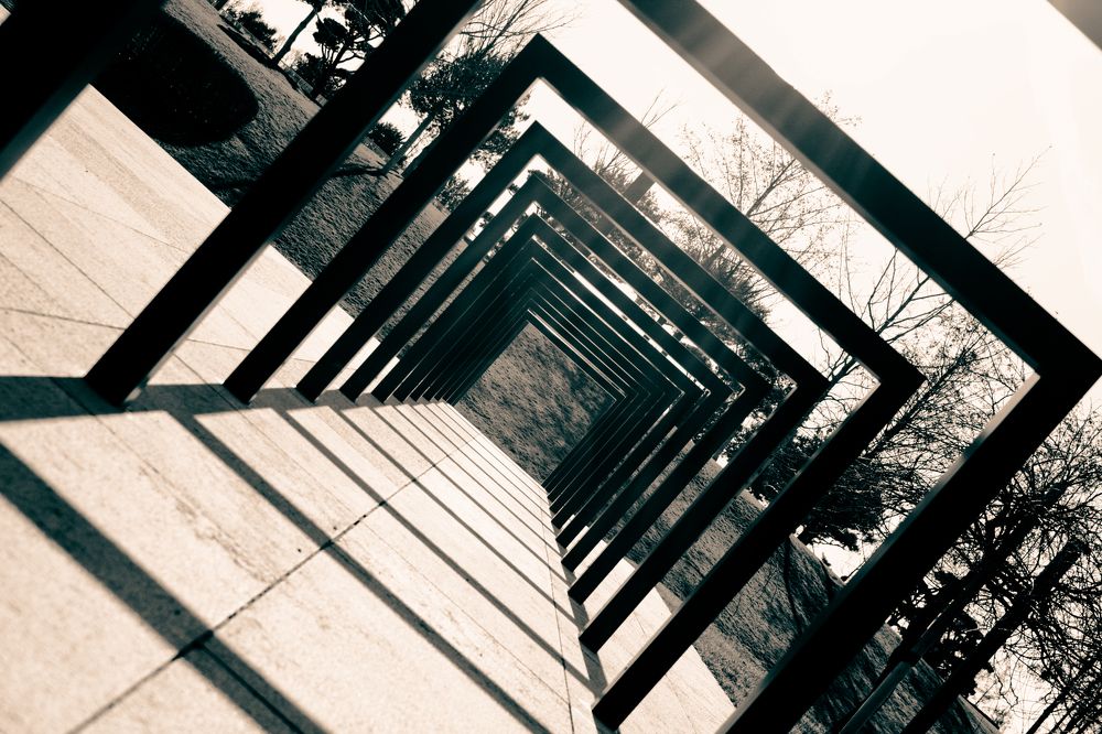 Photograph by Алексей Шевцов