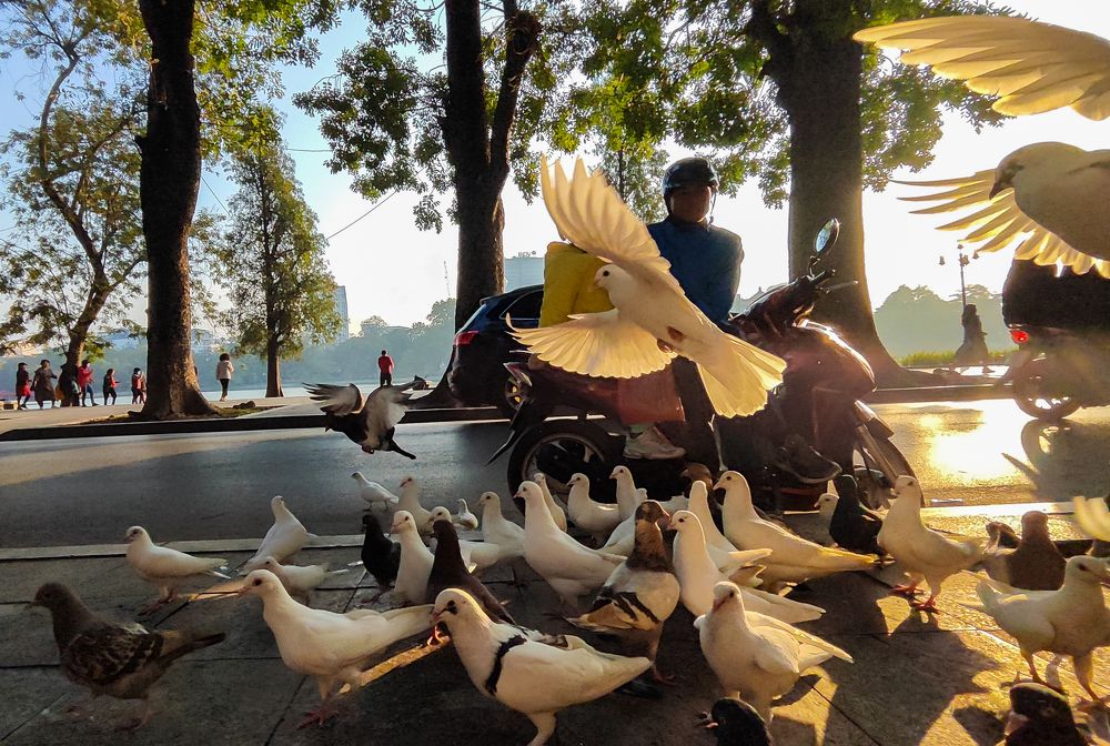 Photograph by Ba Hung Do