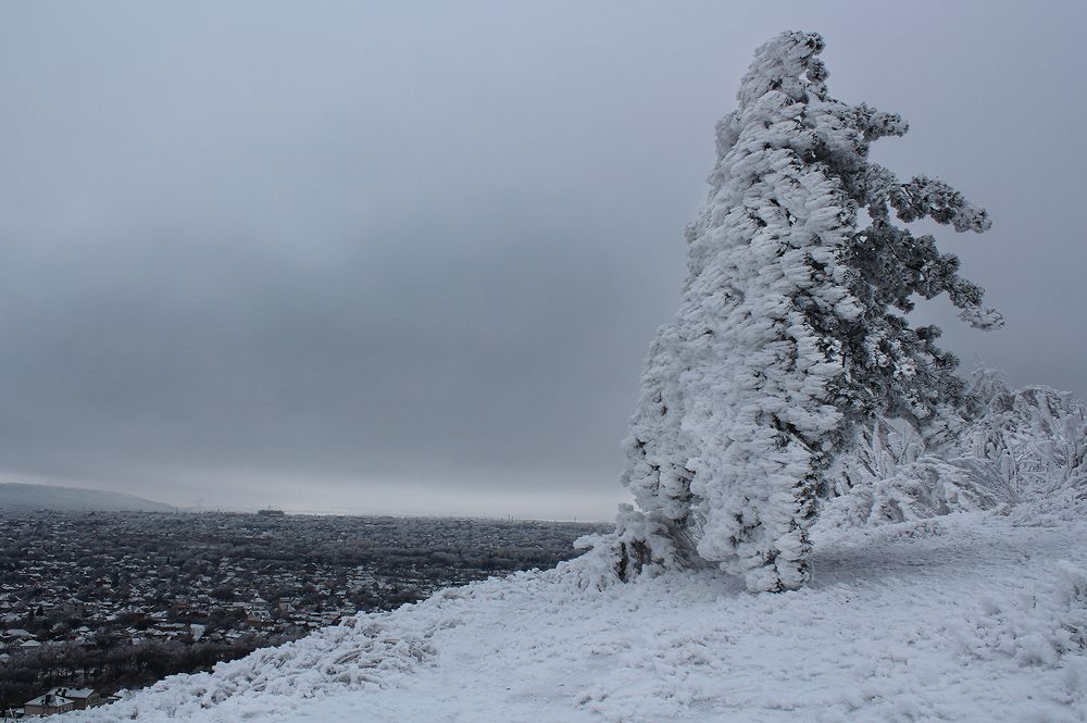 Photograph by Сергей