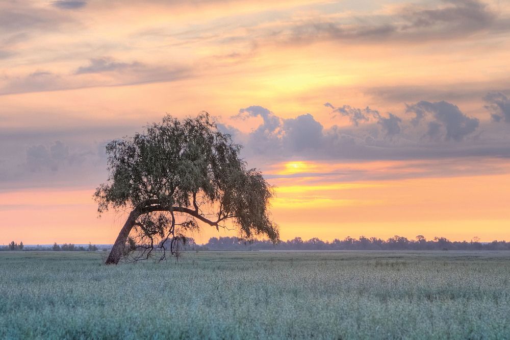 Photograph by Юрий Спасенников