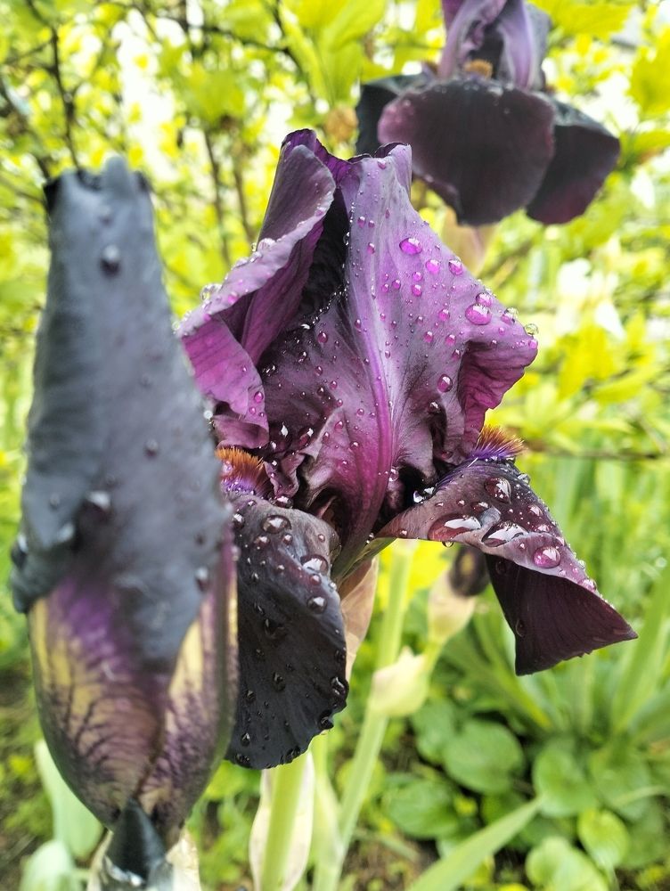 Photograph by Светлана Мозговая