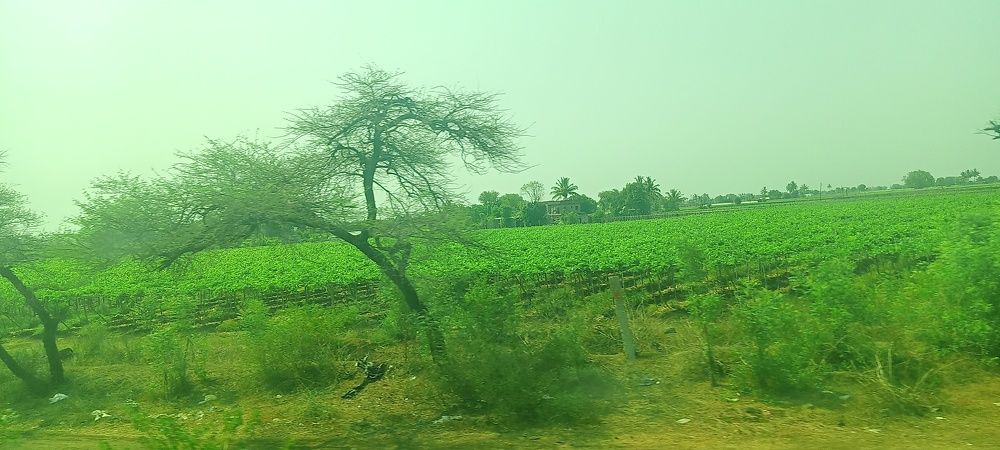 Photograph by Sunil Sharma