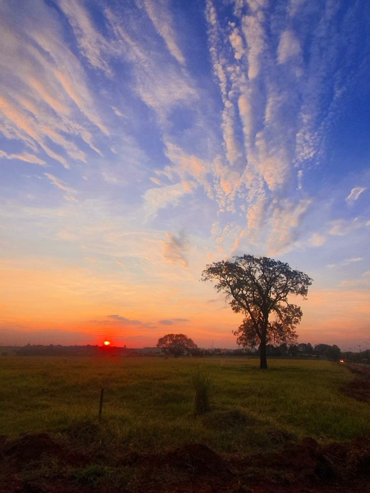Photograph by Régis Santos