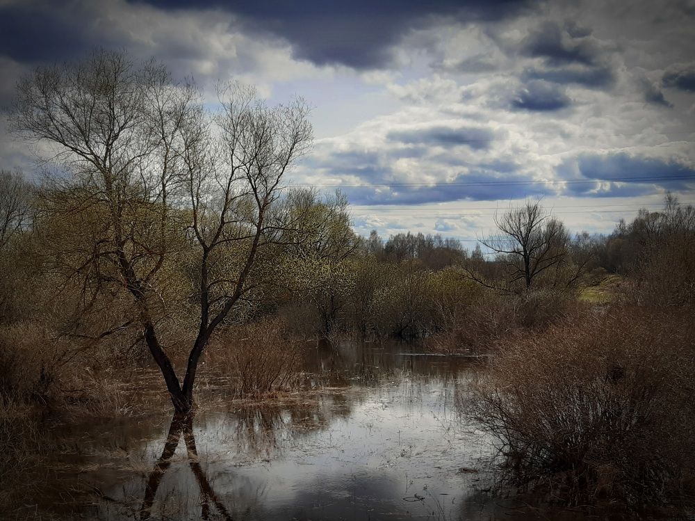 Photograph by Екатерина