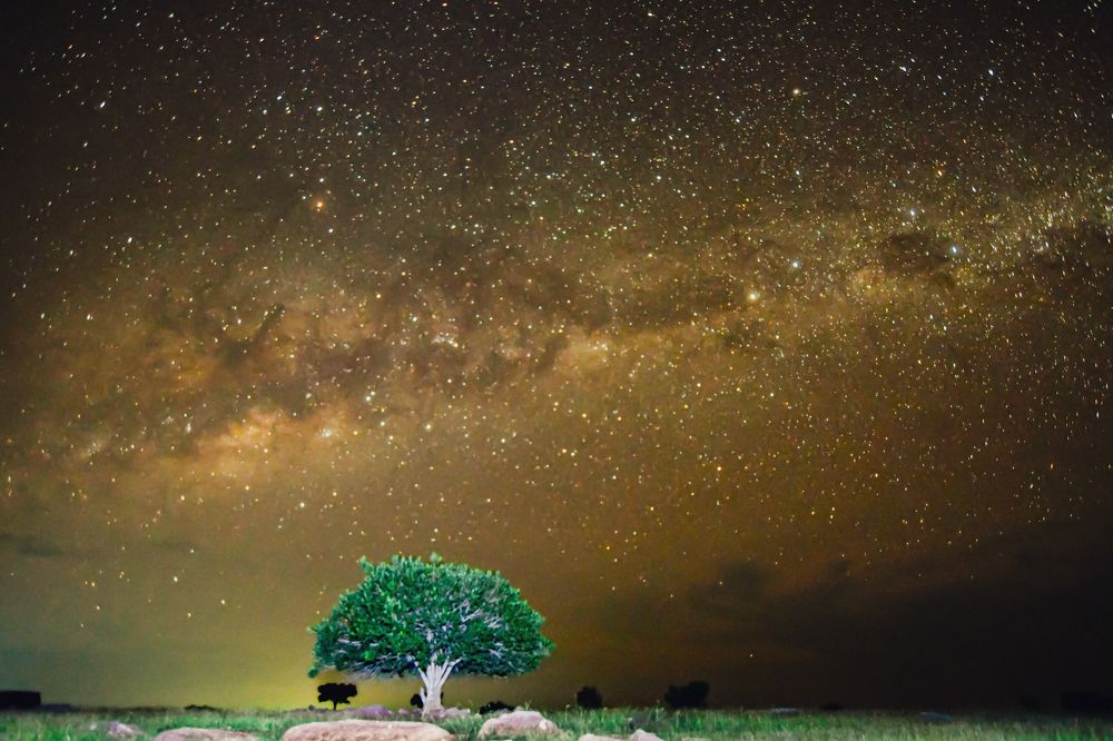 Photograph by Yafet Prayogo