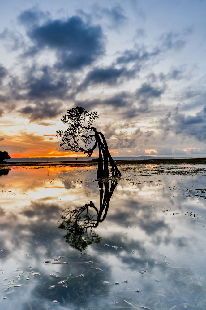 Photograph by Yafet Prayogo