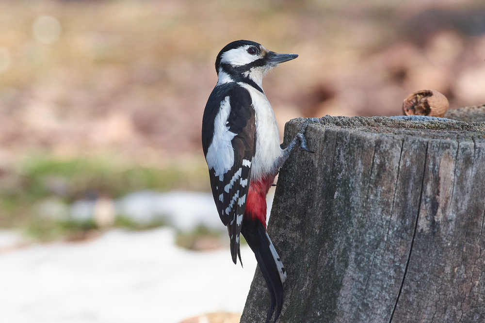 Photograph by Павел Сторчилов