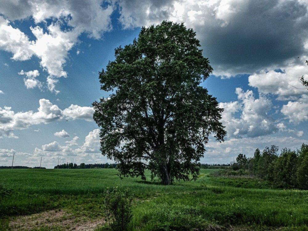 Photograph by Алексей Логинов