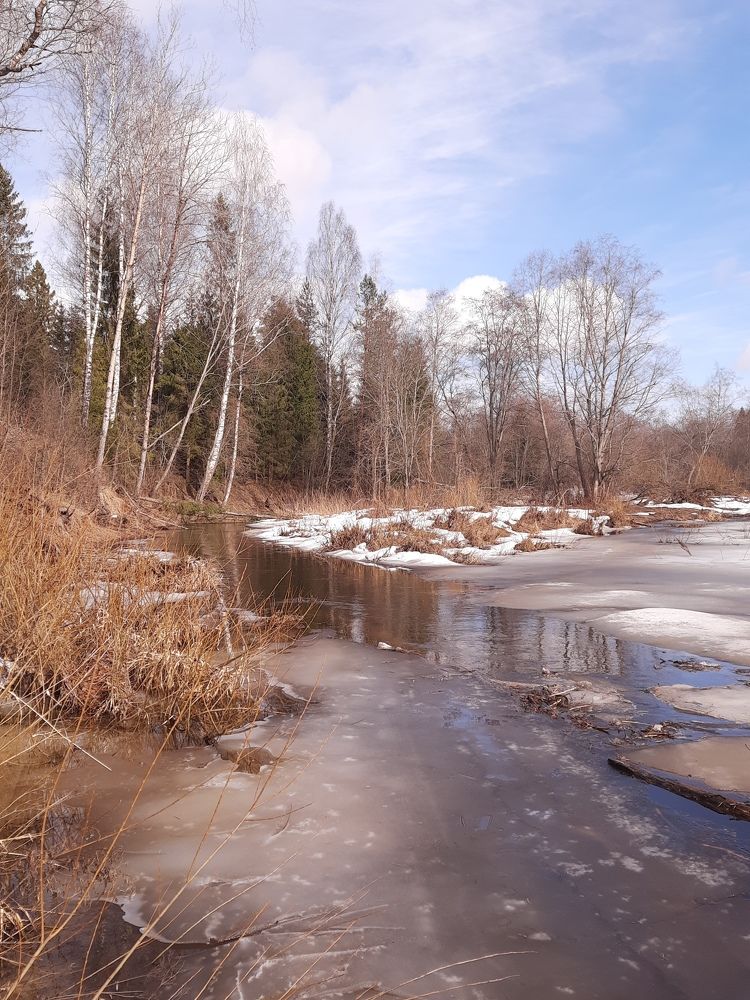 Photograph by Людмила Щепилова