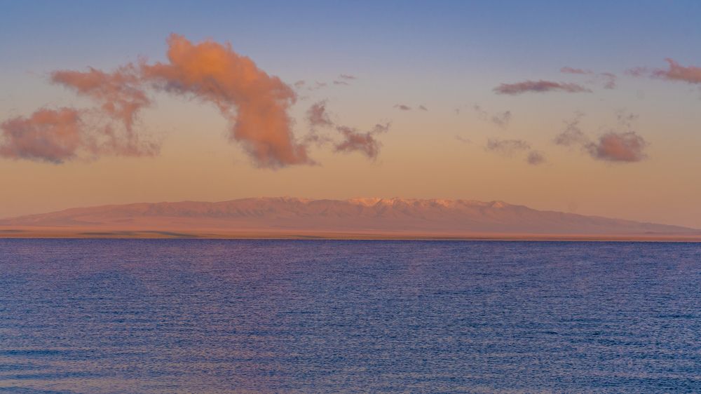 Фотография автора Selena